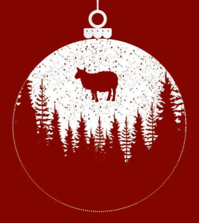 Picture for vendor Biohof Bloder